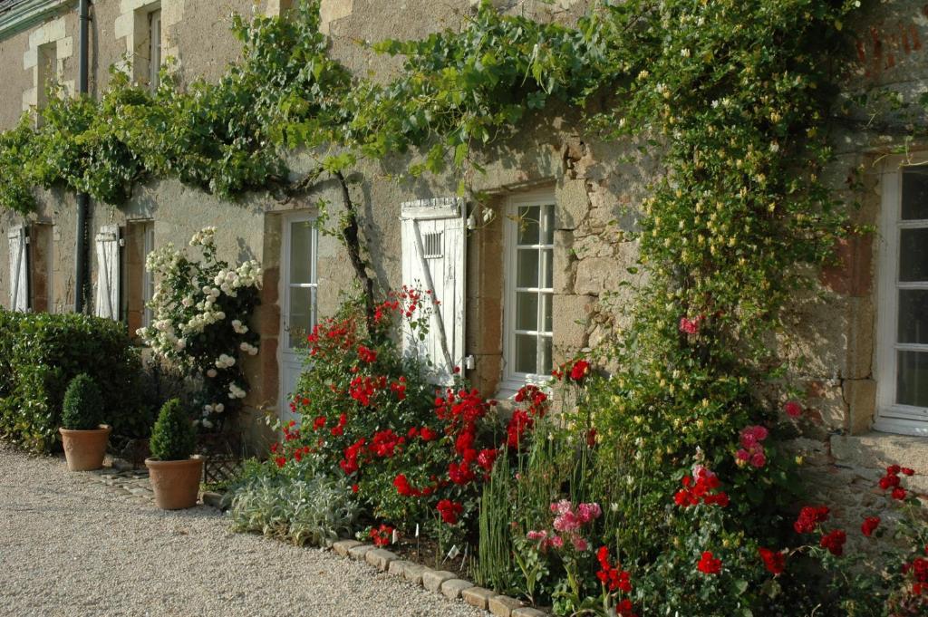 Chateau De L'Oiseliniere Bed & Breakfast Gorges  Ngoại thất bức ảnh
